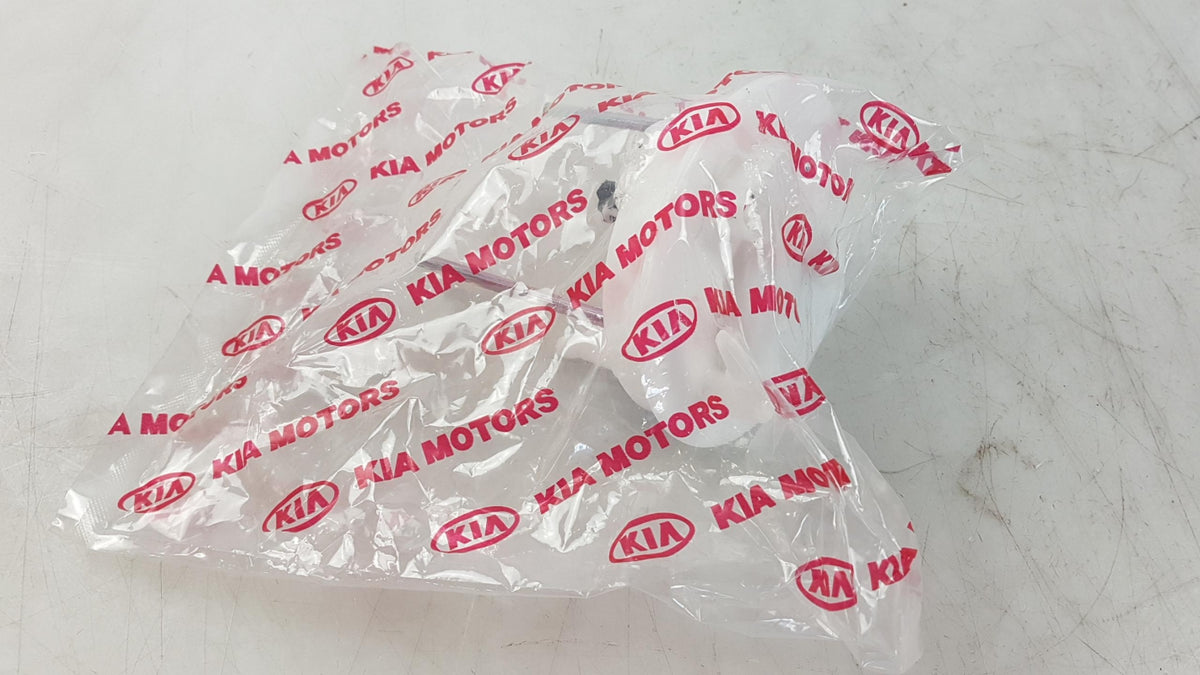 Original OE HYUNDAI/KIA Kraftstofffilter 310902F000