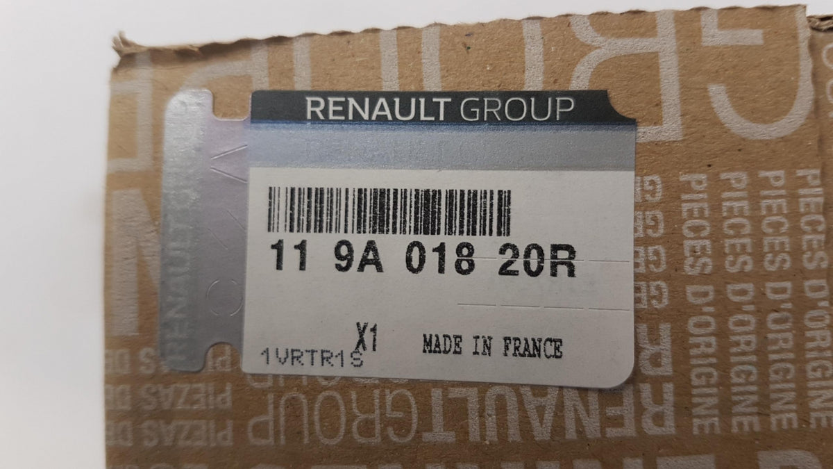 Original OE RENAULT Wasserpumpe + Zahnriemenkit 119A01820R