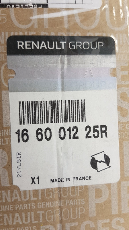 Original RENAULT Megane III Clio III Duster II Injektor Düse 166001225R