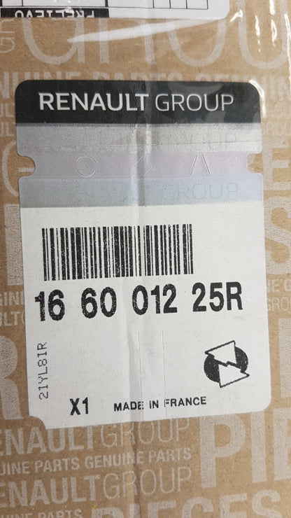 Original RENAULT Megane III Clio III Duster II Injektor Düse 166001225R