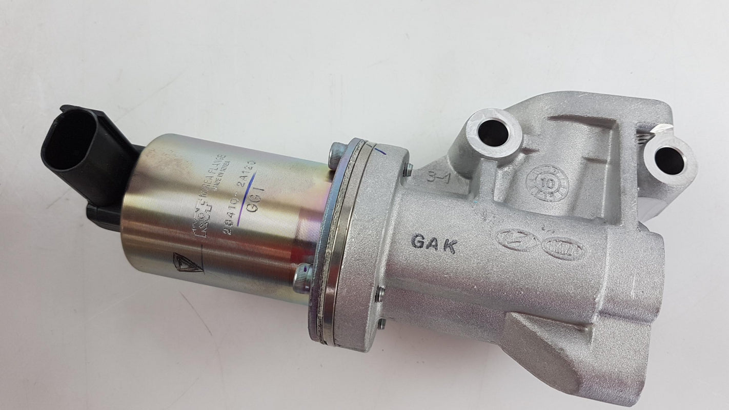 Original HYUNDAI Getz 2005-2009 KIA Ceed 2006-2012 EGR valve 284102A120 