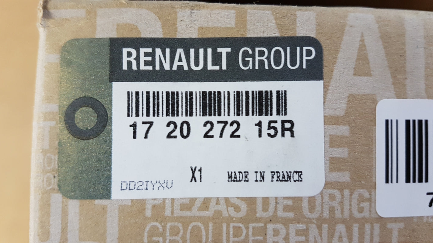 Original OE RENAULT Kraftstoff-Fördereinheit 172027215R