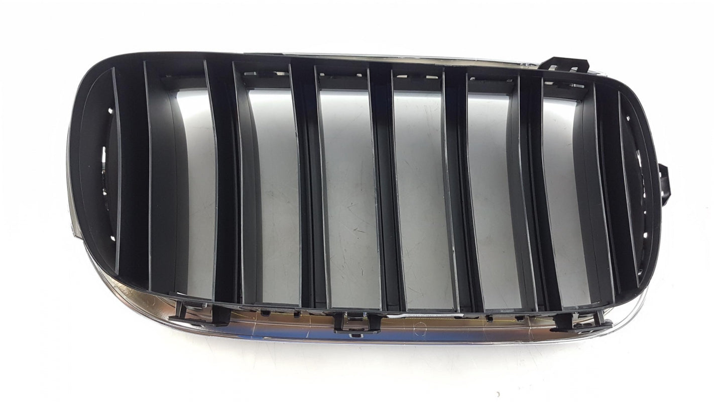 Original OE BMW Kühlergittereinsatz 51137316061