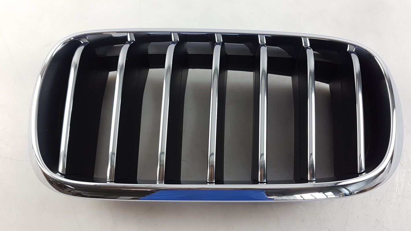 Original OE BMW Kühlergittereinsatz 51137316061