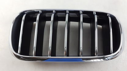 Original OE BMW Kühlergittereinsatz 51137316061