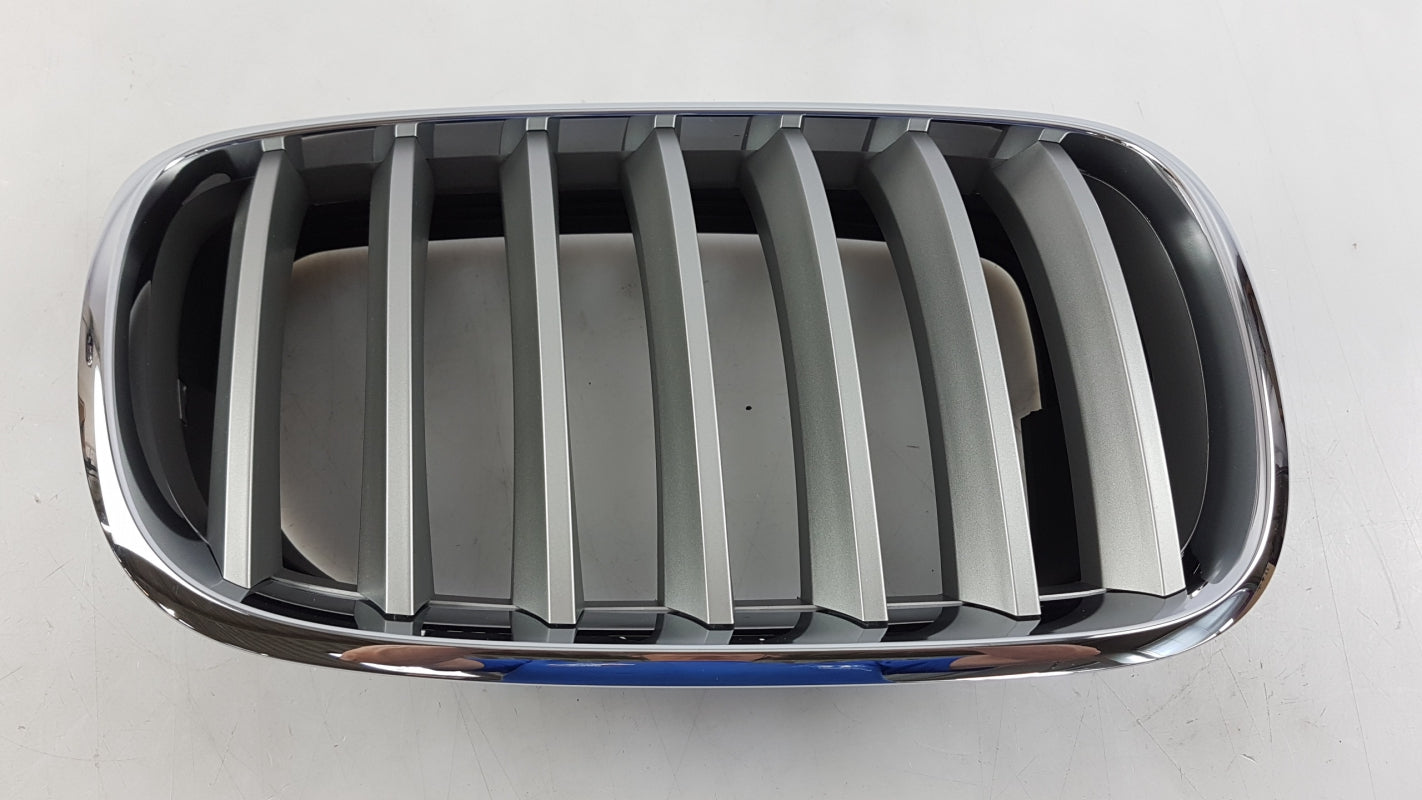 Original OE BMW Kühlergitter 51137185224