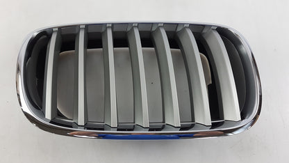 Original OE BMW Kühlergitter 51137185224