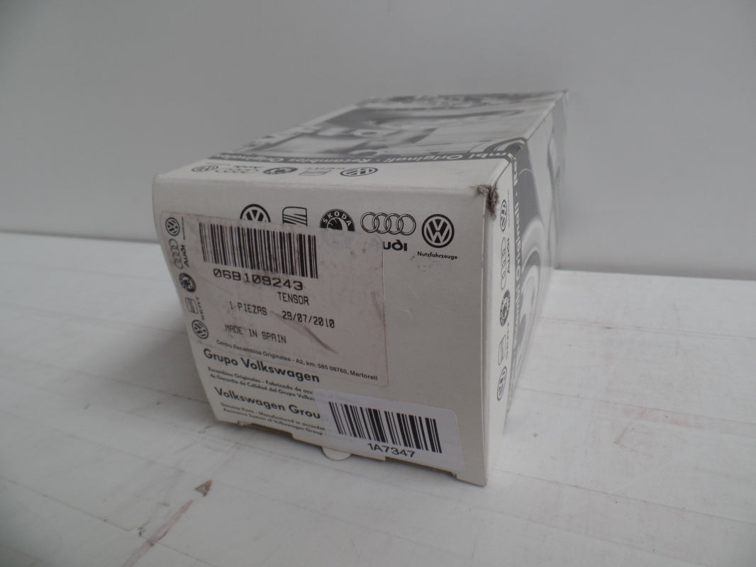 Original AUDI A3 A6 VW Golf Sharan SKODA Octavia SEAT Leon Spannrolle 06B109243