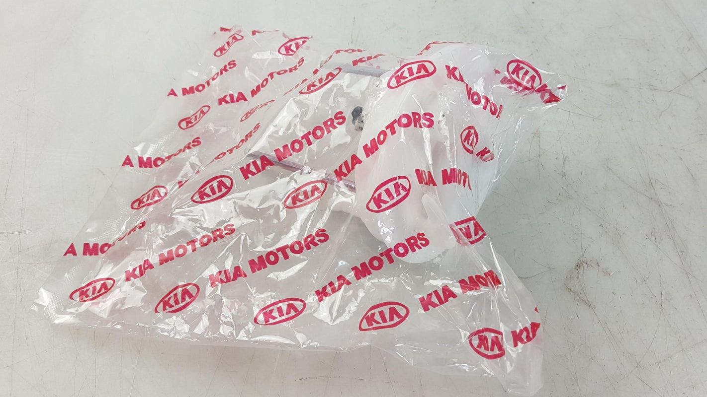 Original OE HYUNDAI/KIA Kraftstofffilter 310902F000