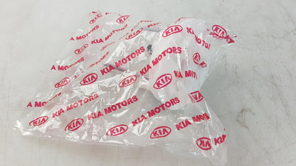 Original OE HYUNDAI/KIA Kraftstofffilter 310902F000