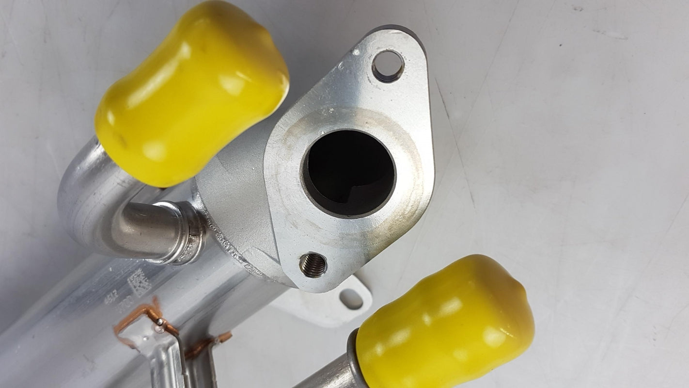 Original SEAT Alhambra (7M) VW Sharan '06 -'10 AGR Kühler 03G131513L