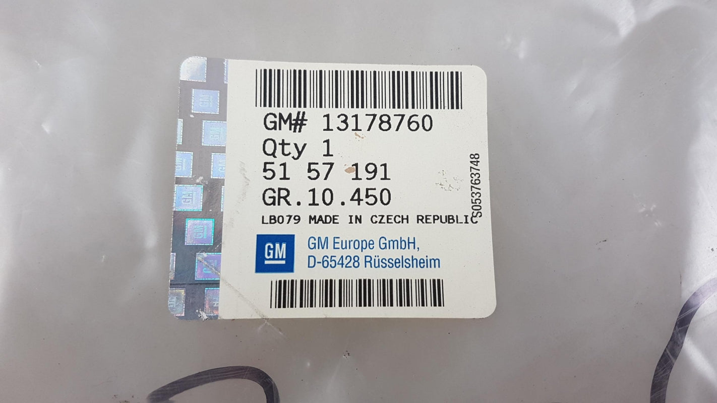 Original OPEL Astra-H Türdichtung anthrazit vorne 13178760