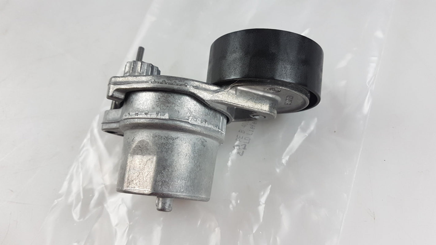 Original OE NISSAN Steuerkettenspanner 1195591C0N