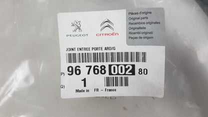 Original OE Peugeot Türdichtung 9676800280