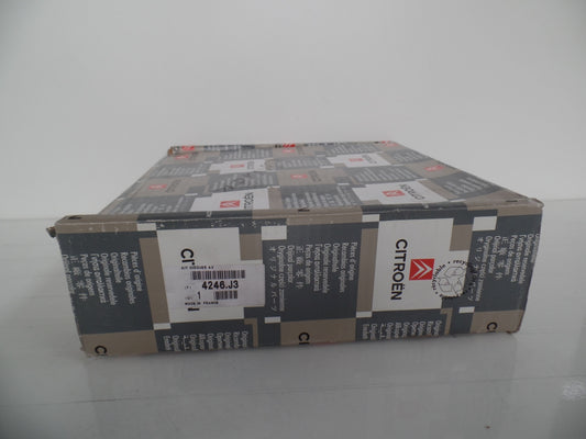 Original OE Peugeot Bremsscheibensatz (2 Stück) 4246J3