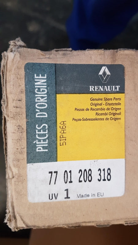 Original OE RENAULT Türscheiben Dichtung 7701208318