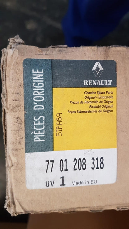 Original OE RENAULT Türscheiben Dichtung 7701208318