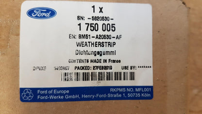 Original FORD Focus 11'-15' Türdichtung Vorne 1750005