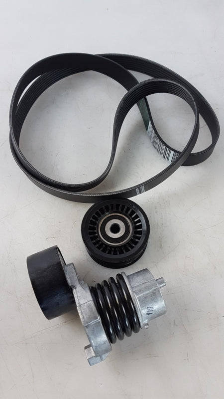Original OE NISSAN Keilrippenriemensatz 1172000Q6G