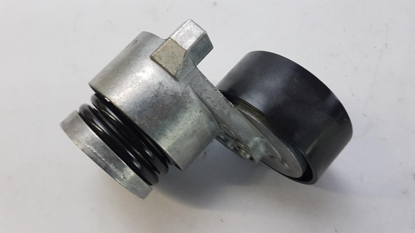 Original NISSAN Kubistar 1.5dCi Keilrippenriemensatz 1172000QA1