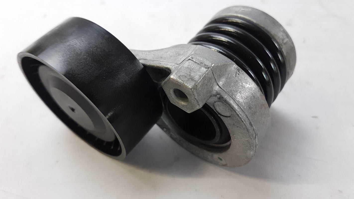 Original OE RENAULT Keilrippenriemensatz 117201925R