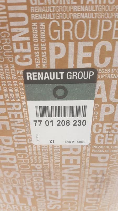 Original RENAULT Scenic II 2x Bremsscheiben Hinten 7701208230