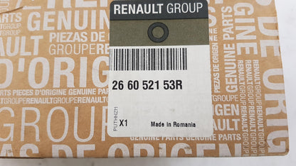 Original OE RENAULT Tagfahrlicht 266052153R