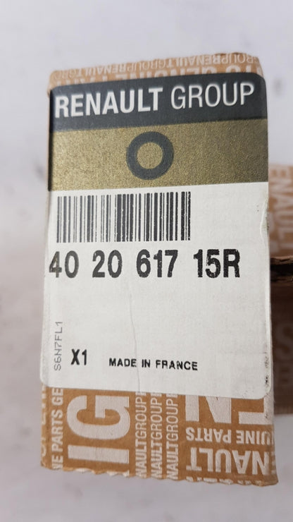 Original OE RENAULT Bremsscheibensatz (2 Stück) 402061715R