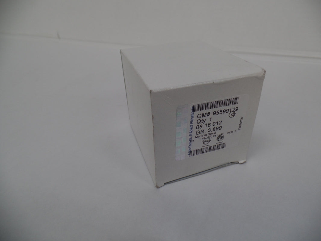 Original OE OPEL Kraftstofffilter 95599129