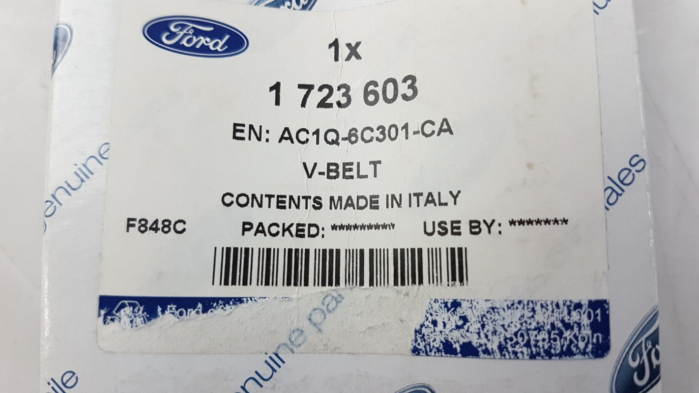 Original FORD Transit Keilrippenriemen 1723603