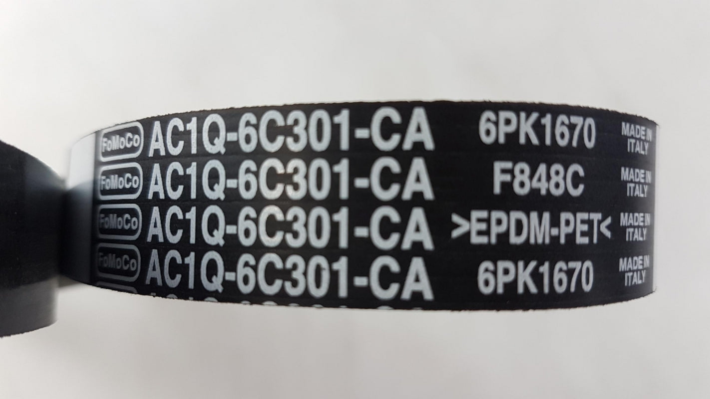 Original FORD Transit Keilrippenriemen 1723603