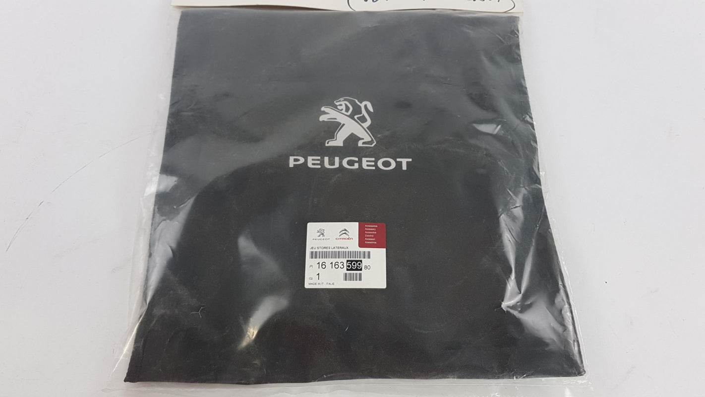 Original OE Peugeot Sonnenschutz 1616359980