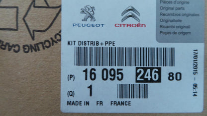 Original PEUGEOT CITROEN 2.0 HDi Wasserpumpe+Zahnriemensatz 1609524680