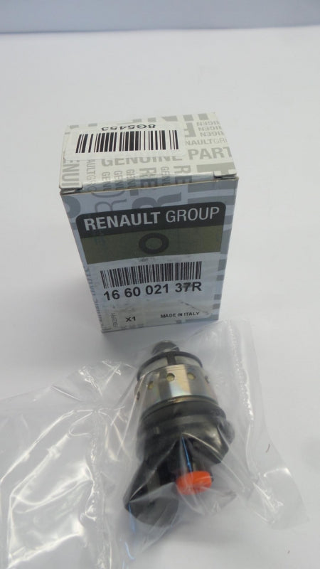 Original RENAULT Clio Logan Modus Sandero Lodgy Einspritzventil LPG 166002137R