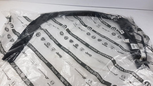 Original OE FIAT Türscheiben Dichtung 51884149