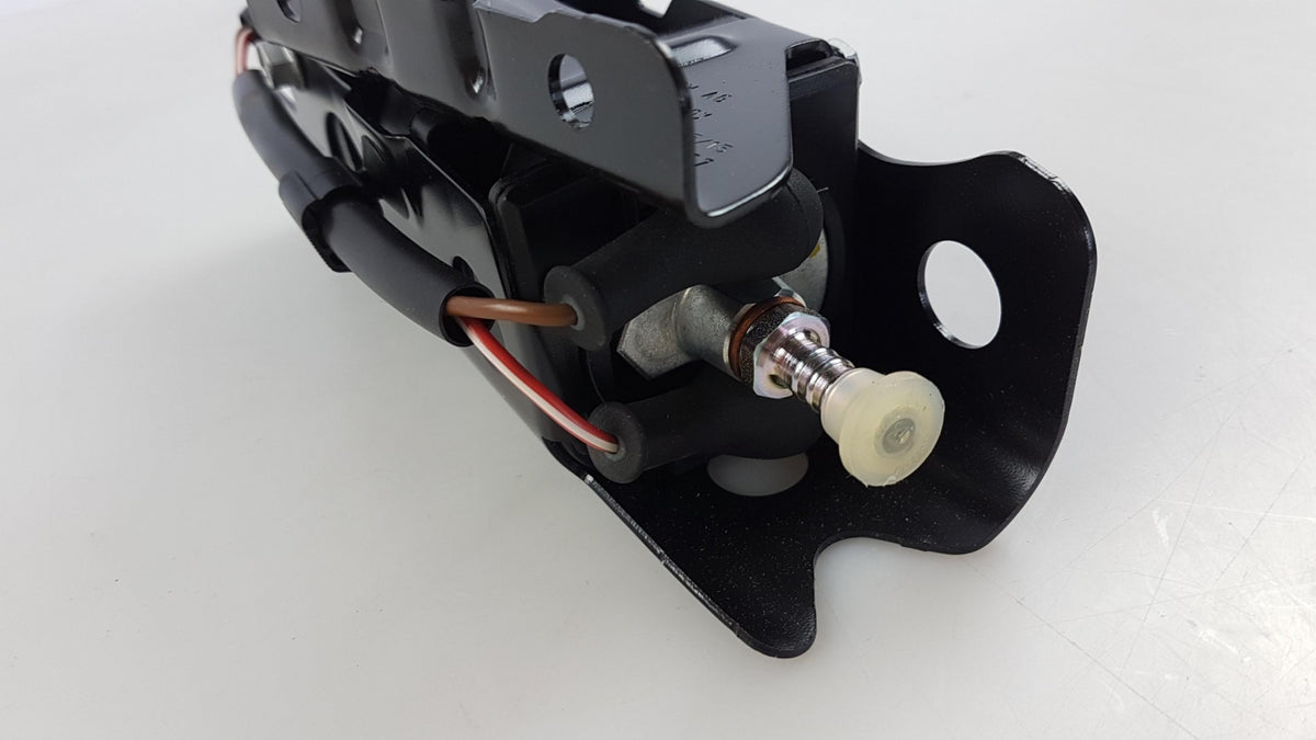 Original OE Volkswagen Kraftstoffpumpe 5N0906129B