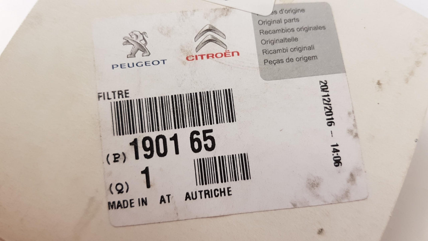 Original OE Peugeot Kraftstofffilter 190165
