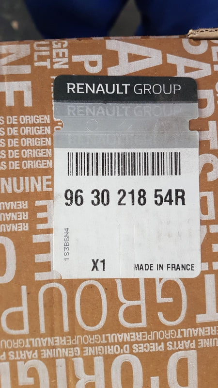 Original OE RENAULT Außenspiegel 963021854R