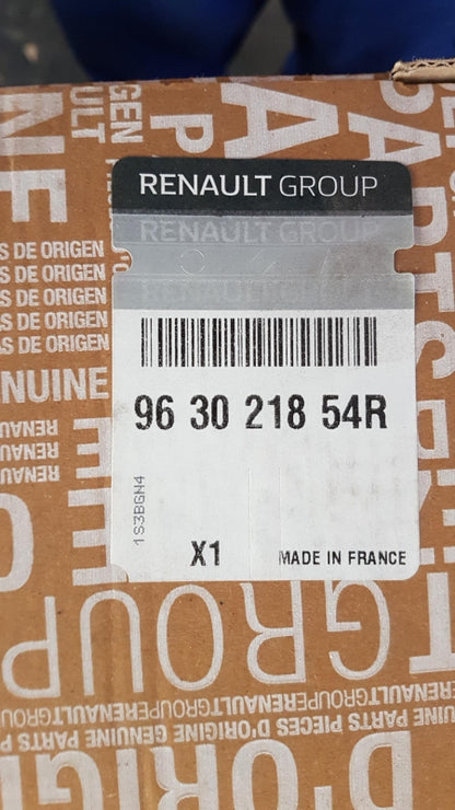 Original OE RENAULT Außenspiegel 963021854R