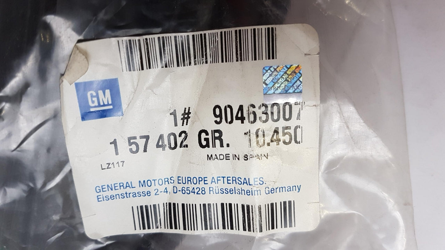 Original OE OPEL Türdichtung 90463007