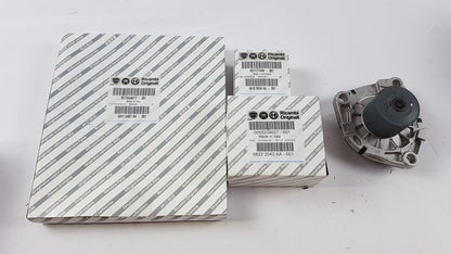 Original OE FIAT Wasserpumpe + Zahnriemenkit 6000629056