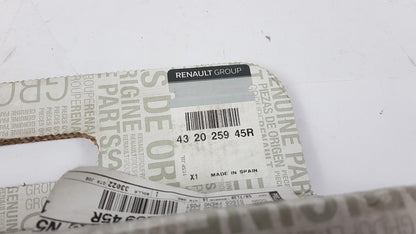 Original OE RENAULT Bremsscheibe (1 Stück) 432025945R