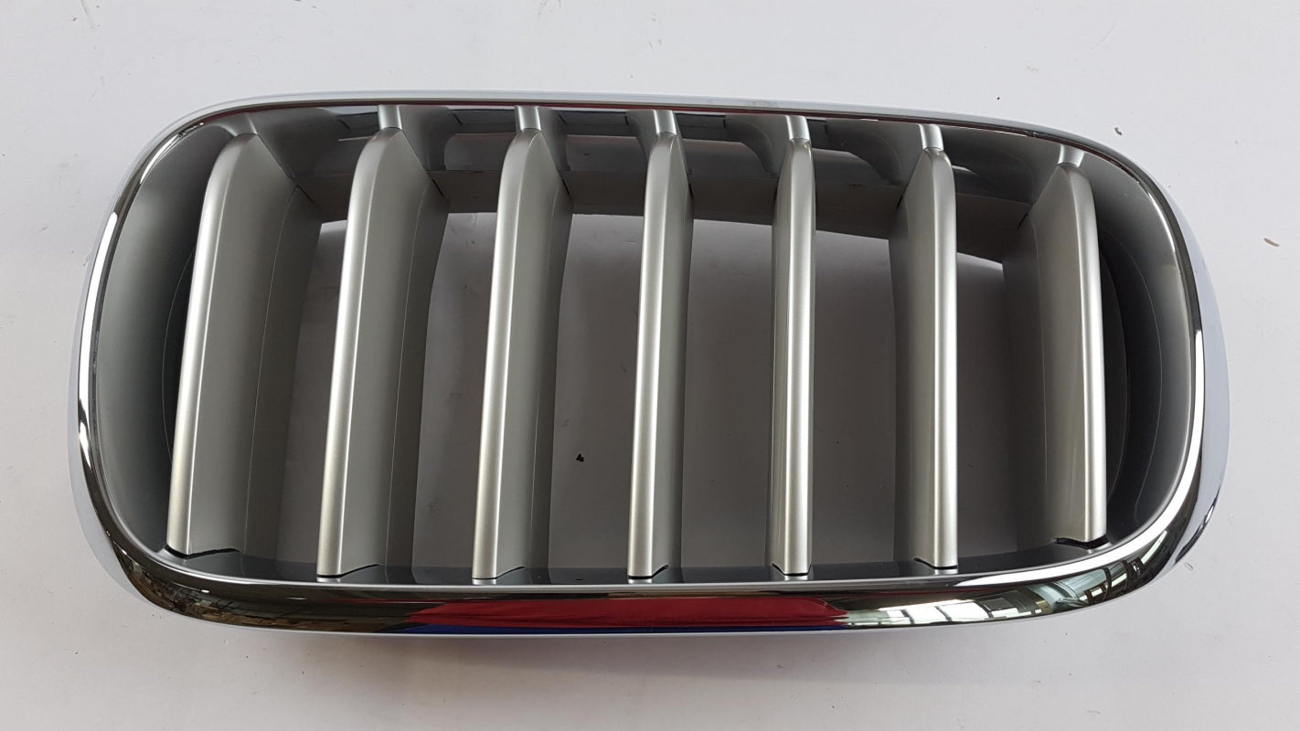 Original OE BMW Kühlergitter 51117303107