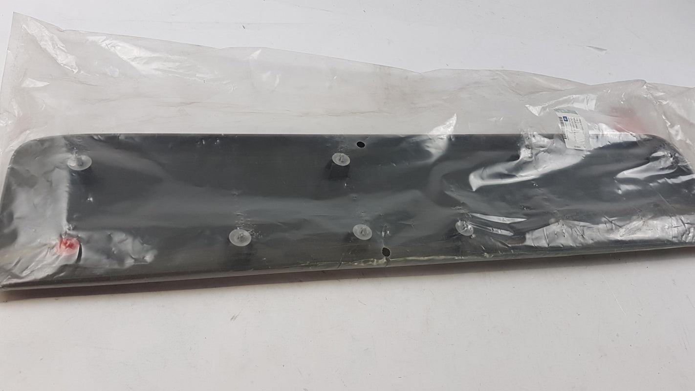 Original OE OPEL Tür Zierleiste 91165346