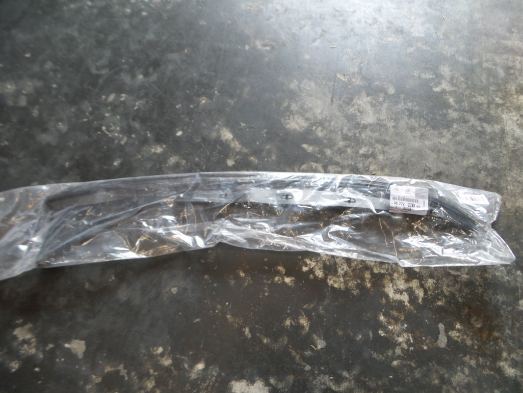 Original CITROEN C4 Picasso (B78) Türabdichtung vorne links 9677299180