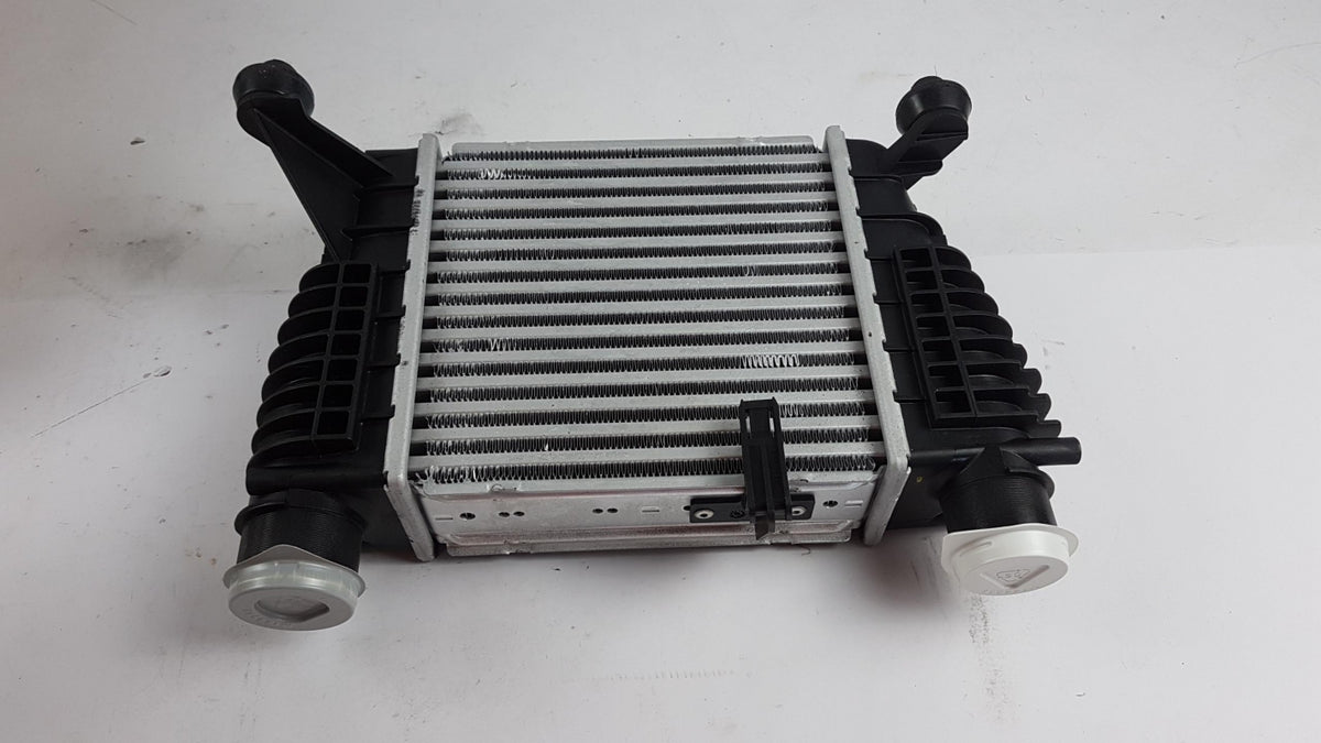 Original OE NISSAN Ladeluftkühler 144619U20A