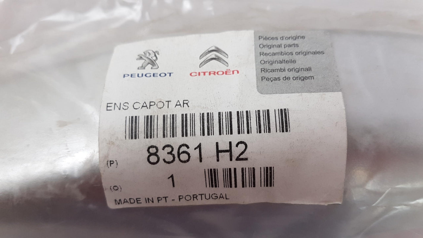Original OE Peugeot Zierleisten Satz 8361H2