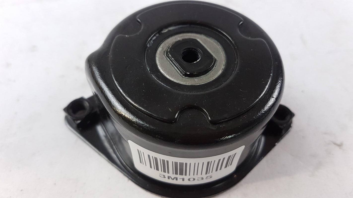 Original BMW E46 E90-E92 E60/61 E63-E66 X3 E83 X5 E53 Riemenspanner 11287786880