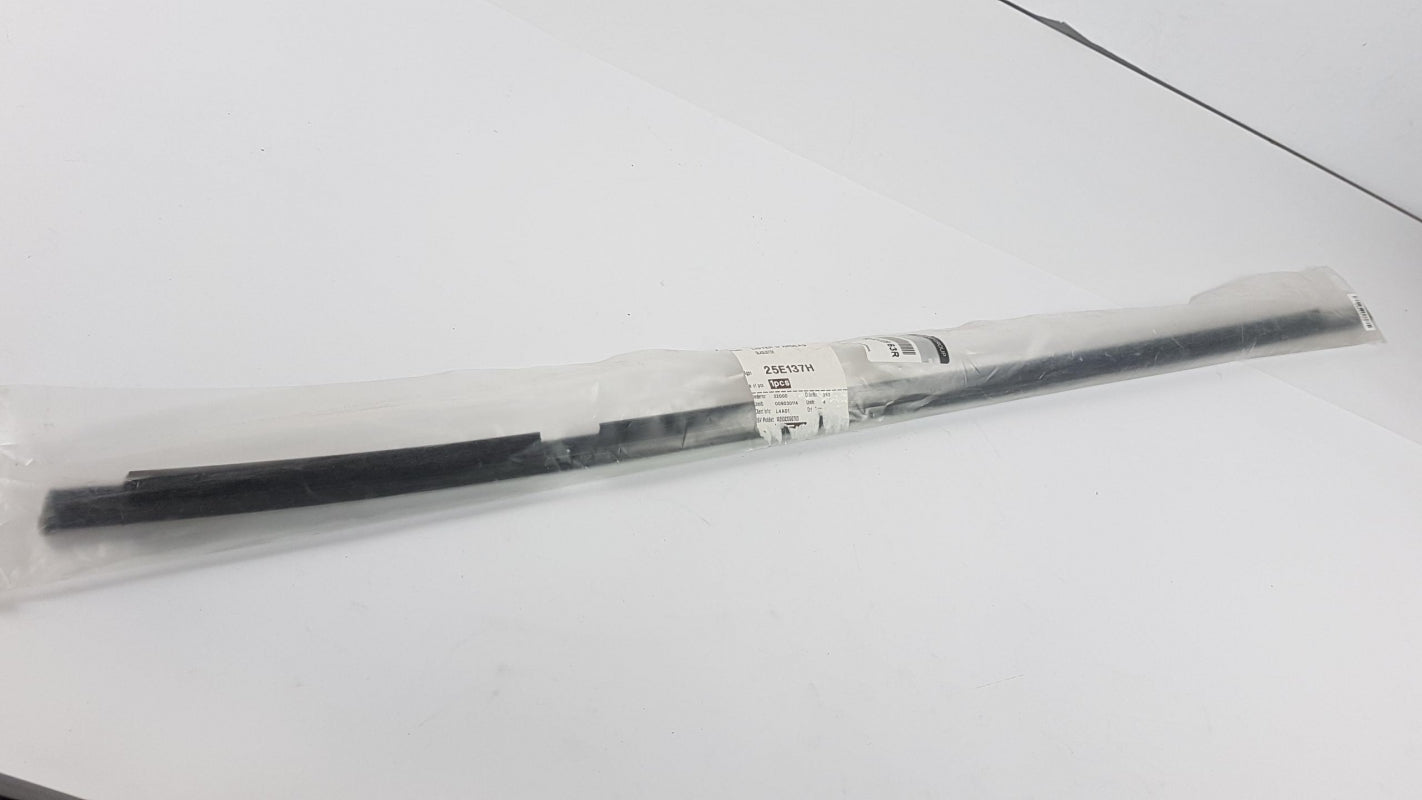 Original OE RENAULT Türscheiben Dichtung 808202863R