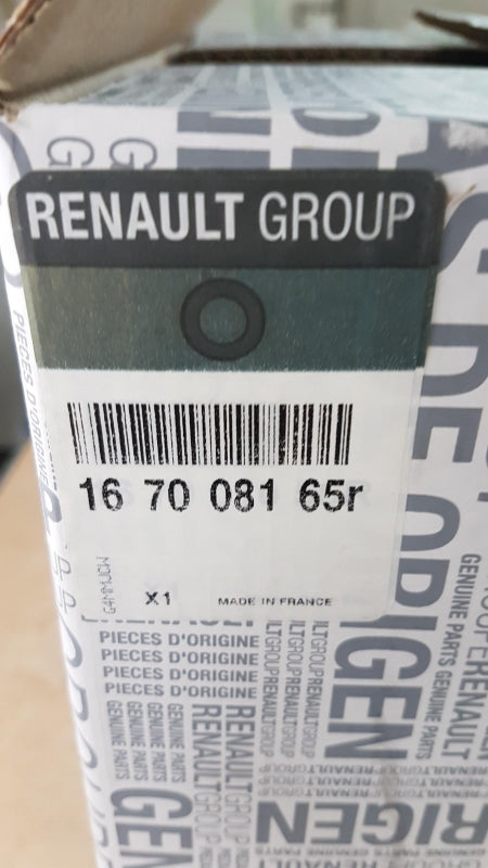 Original OE RENAULT Einspritzpumpe 167008165R
